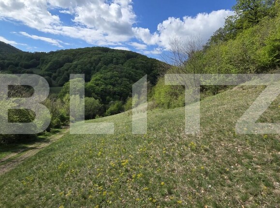 Teren de vânzare  Exterior Est - 193716TV | BLITZ Alba Iulia | Poza17