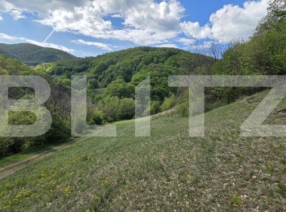 Teren de vânzare  Exterior Est - 193716TV | BLITZ Alba Iulia | Poza7