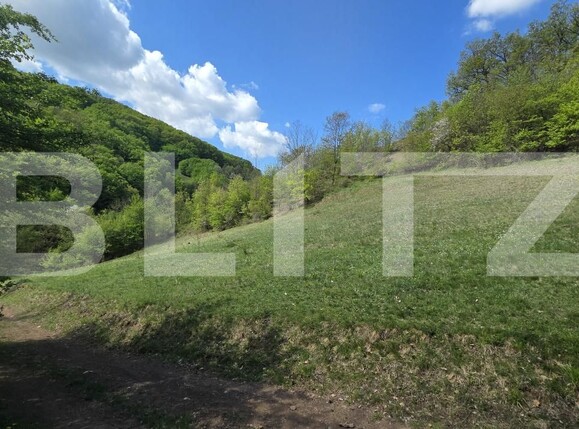 Teren de vânzare  Exterior Est - 193716TV | BLITZ Alba Iulia | Poza9