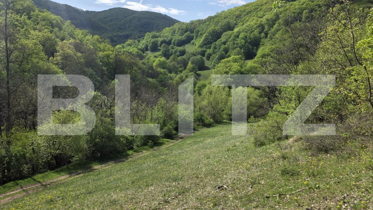 Teren de vânzare  Exterior Est - 193716TV | BLITZ Alba Iulia | Poza7