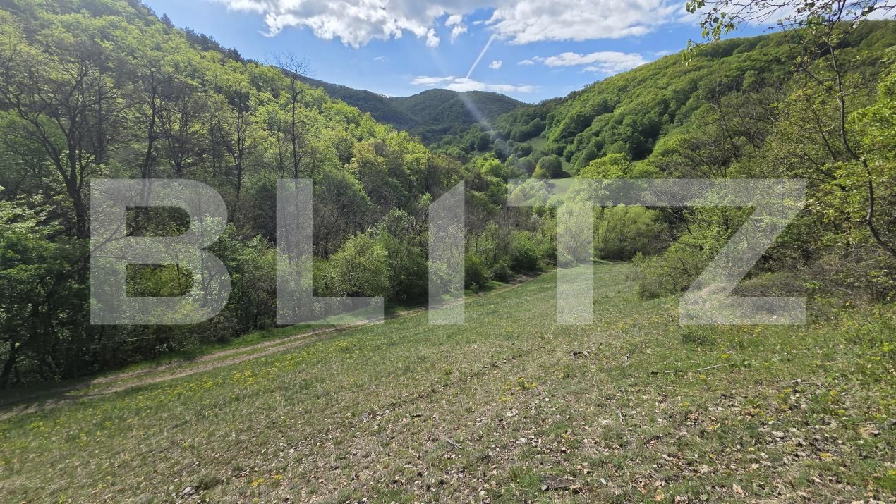 Teren de vânzare  Exterior Est - 193716TV | BLITZ Alba Iulia | Poza11