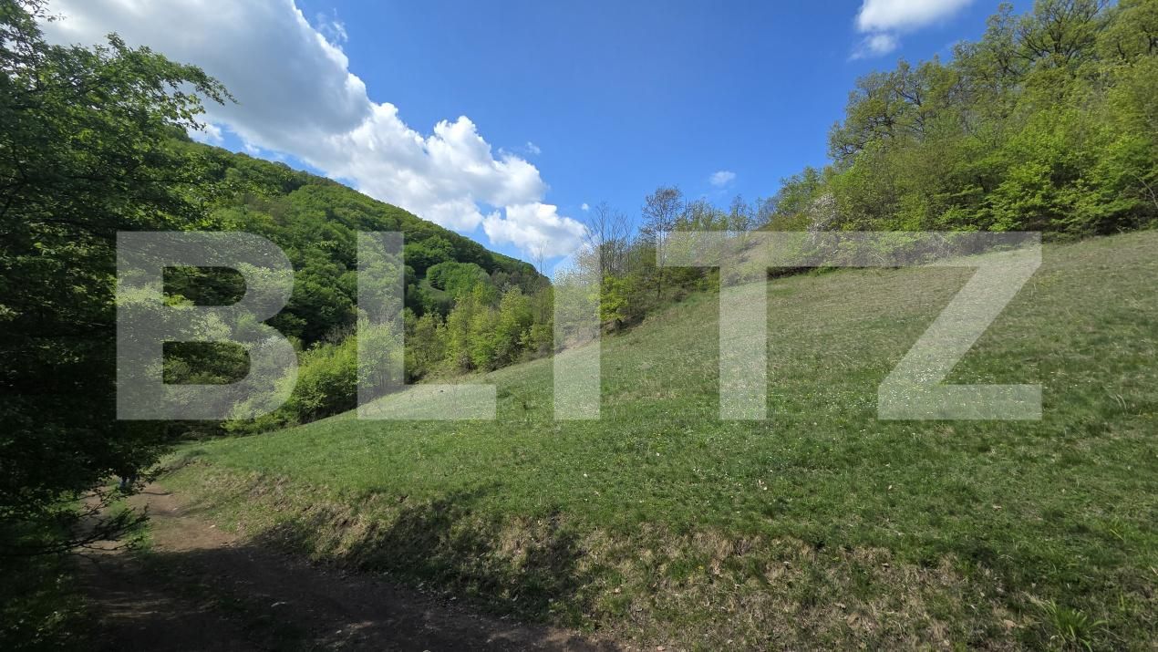Teren de vânzare  Exterior Est - 193716TV | BLITZ Alba Iulia | Poza17