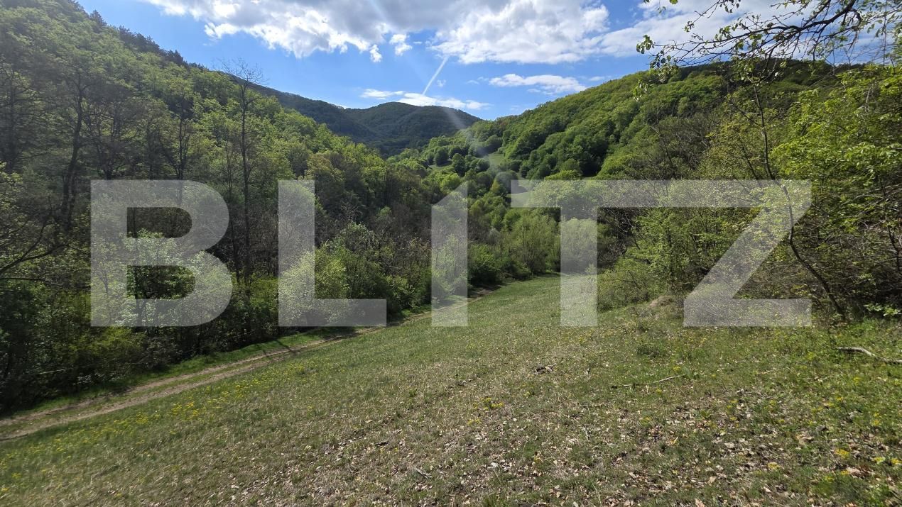 Teren de vânzare  Exterior Est - 193716TV | BLITZ Alba Iulia | Poza2
