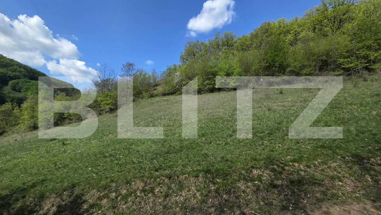 Teren de vânzare  Exterior Est - 193716TV | BLITZ Alba Iulia | Poza14