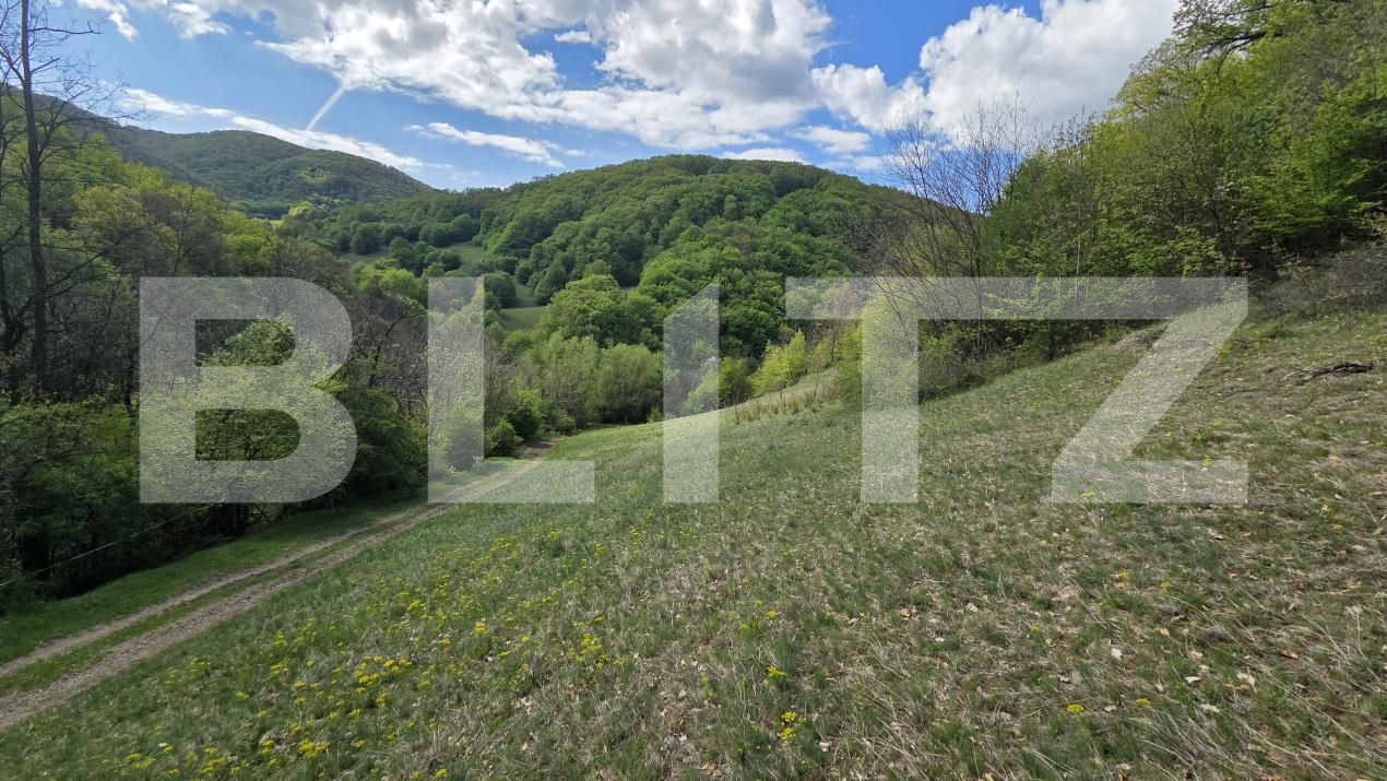 Teren de vânzare  Exterior Est - 193716TV | BLITZ Alba Iulia | Poza3