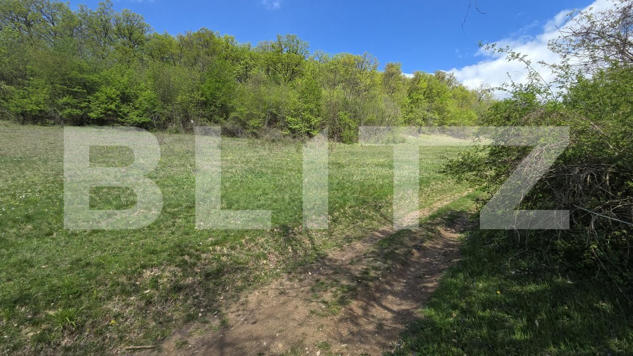 Teren de vânzare  Exterior Est - 193716TV | BLITZ Alba Iulia | Poza13