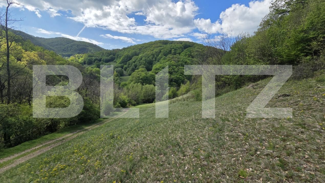 Teren de vânzare  Exterior Est - 193716TV | BLITZ Alba Iulia | Poza9