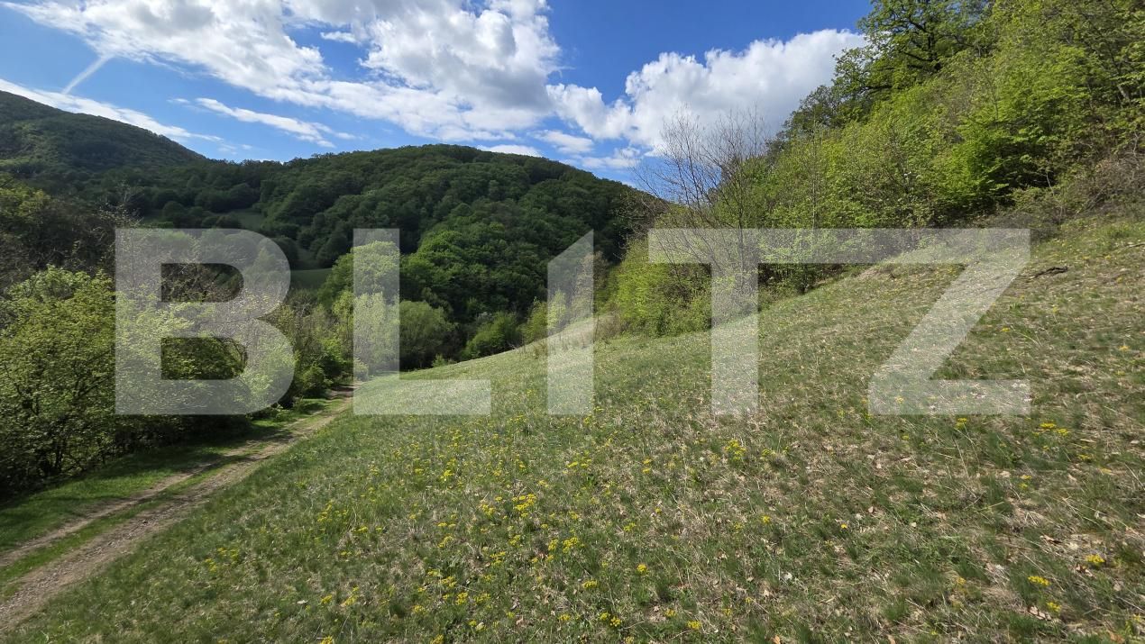 Teren de vânzare  Exterior Est - 193716TV | BLITZ Alba Iulia | Poza17