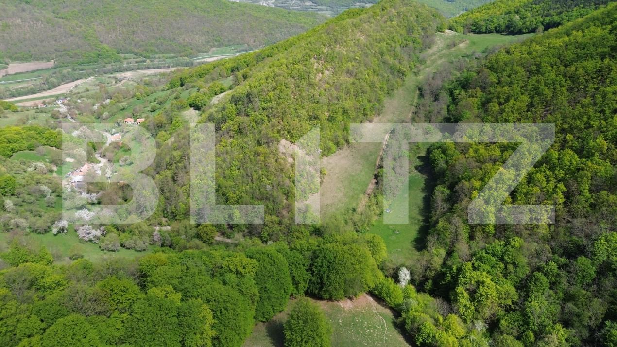 Teren de vânzare  Exterior Est - 193716TV | BLITZ Alba Iulia | Poza6