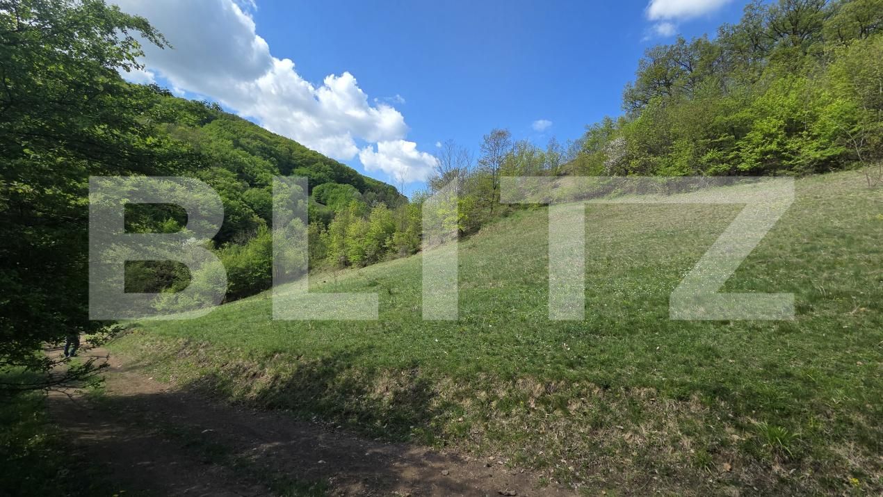 Teren de vânzare  Exterior Est - 193716TV | BLITZ Alba Iulia | Poza9