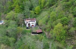 🏡 Cabana de poveste în Râmeț | 2000 mp teren + râu pe proprietate | ideală pent