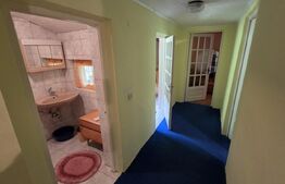 🏡 Cabana de poveste în Râmeț | 2000 mp teren + râu pe proprietate | ideală pent
