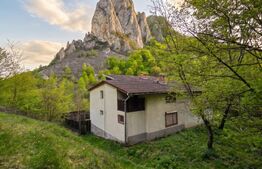 🏡 Cabana de poveste în Râmeț | 2000 mp teren + râu pe proprietate | ideală pent