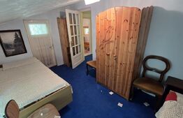 🏡 Cabana de poveste în Râmeț | 2000 mp teren + râu pe proprietate | ideală pent
