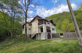 🏡 Cabana de poveste în Râmeț | 2000 mp teren + râu pe proprietate | ideală pent