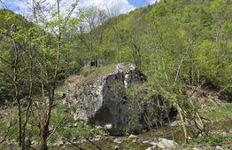 🏡 Cabana de poveste în Râmeț | 2000 mp teren + râu pe proprietate | ideală pent