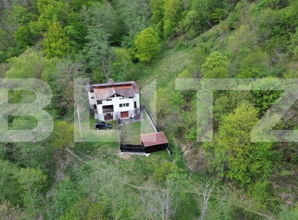 Casa de vânzare 7 camere Ramet - 193827CV | BLITZ Alba Iulia | Poza17