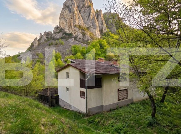 Casa de vânzare 7 camere Ramet - 193827CV | BLITZ Alba Iulia | Poza2