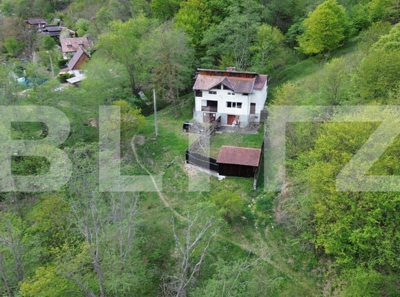 Casa de vânzare 7 camere Ramet - 193827CV | BLITZ Alba Iulia | Poza4