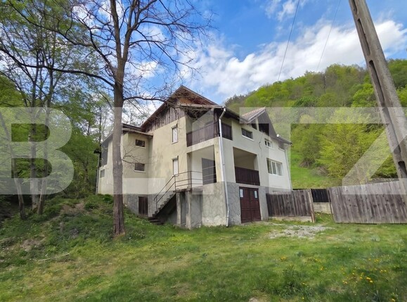 Casa de vânzare 7 camere Ramet - 193827CV | BLITZ Alba Iulia | Poza3