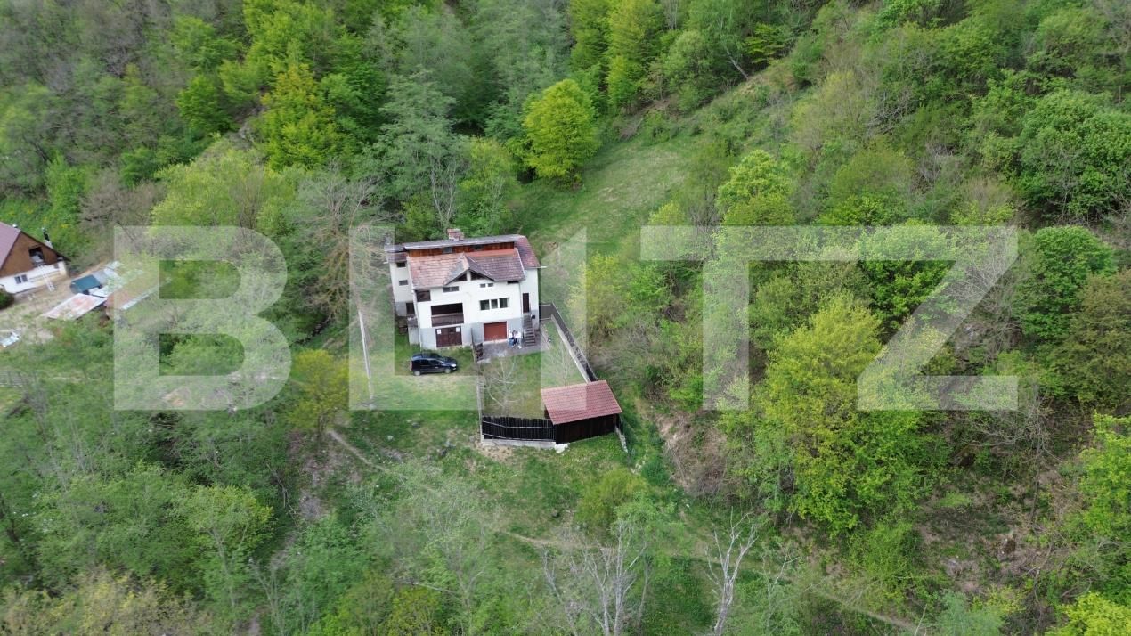 Casa de vânzare 7 camere Ramet - 193827CV | BLITZ Alba Iulia | Poza17