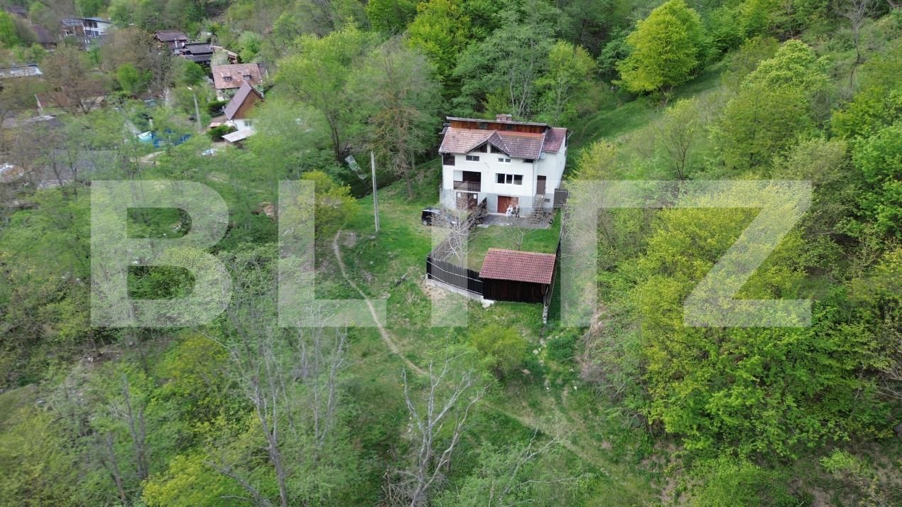Casa de vânzare 7 camere Ramet - 193827CV | BLITZ Alba Iulia | Poza4