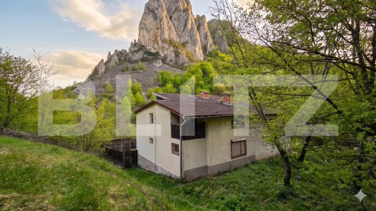 Casa de vânzare 7 camere Ramet - 193827CV | BLITZ Alba Iulia | Poza2