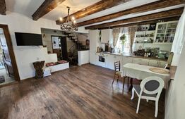 Casă de vânzare în Ocoliș – liniște, natură și confort modern