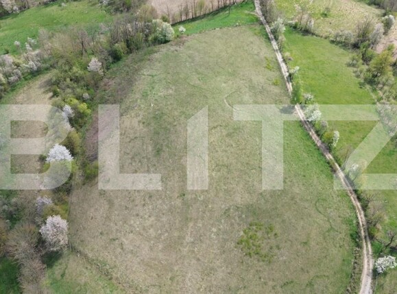 Teren de vânzare Almasu Mare - 193927TV | BLITZ Alba Iulia | Poza3