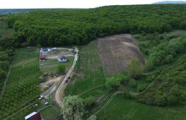 Teren 15.100 mp la baza pădurii – ideal parcelare | 14 loturi | priveliște super
