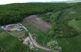 Teren 15.100 mp la baza pădurii – ideal parcelare | 14 loturi | priveliște super