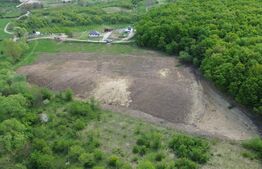 Teren 15.100 mp la baza pădurii – ideal parcelare | 14 loturi | priveliște super