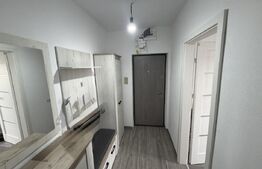Apartament 3 camere decomandat, renovat modern, 49 mp, Centru