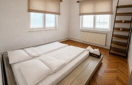 Casa 6 camere de inchiriat, 250 mp, 2 bai, terasa, curte 500 mp, zona Cetate