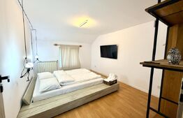 Casa 6 camere de inchiriat, 250 mp, 2 bai, terasa, curte 500 mp, zona Cetate