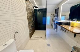 Casa 6 camere de inchiriat, 250 mp, 2 bai, terasa, curte 500 mp, zona Cetate