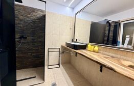 Casa 6 camere de inchiriat, 250 mp, 2 bai, terasa, curte 500 mp, zona Cetate