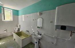 Vilă cu 6 Camere Priveliște spre Munți, Oază de Liniște, Central, Zlatna