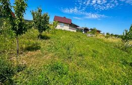 Teren intravilan de 425 mp, cu o cabană construită cu acte și autorizație, Oarda