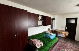 Casa de vânzare 2 camere Almasu Mare - 201540CV | BLITZ Alba Iulia | Poza3