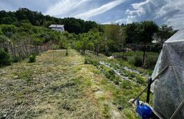 Casă cu 3 camere, teren 1180 mp, în comuna Săsciori