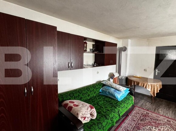 Casa de vânzare 3 camere Sebeș - 194601CV | BLITZ Alba Iulia | Poza1
