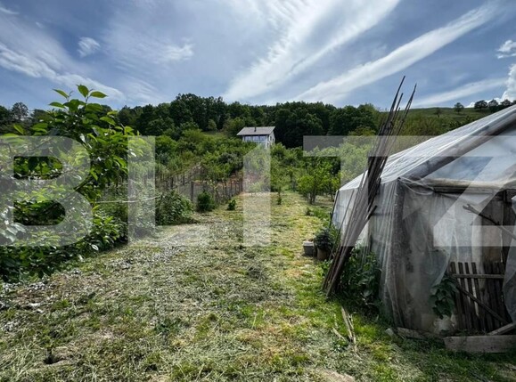 Casa de vânzare 3 camere Sebeș - 194601CV | BLITZ Alba Iulia | Poza9