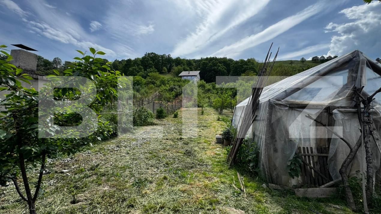Casa de vânzare 3 camere Sebeș - 194601CV | BLITZ Alba Iulia | Poza9