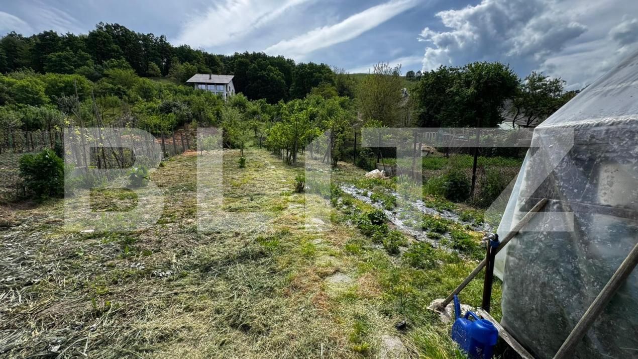 Casa de vânzare 3 camere Sebeș - 194601CV | BLITZ Alba Iulia | Poza8