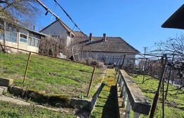 Casa 5 camere, 2 bucatarii, 140 mp, curte si gradina, zona Blaj