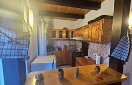 Casǎ de vacanțǎ, 7 camere, 160 mp, inchiriere regim hotelier, zona Garda de Sus