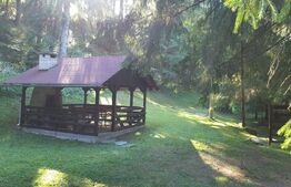 Casǎ de vacanțǎ, 7 camere, 160 mp, inchiriere regim hotelier, zona Garda de Sus