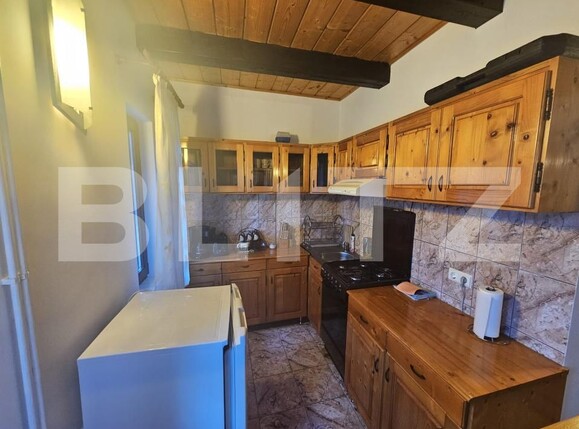 Casa de închiriat 7 camere Garda de Sus - 194798CI | BLITZ Alba Iulia | Poza6