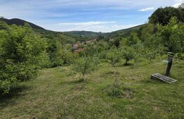  Casă de vacanță, 80 mp, refugiu în natură, 15 min de oraș, zona Ampoita 